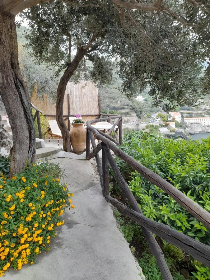 Oliver - Breathtaking Small Pool 14 Sqm Hydromassage On The Rock - Coast Villa Amalfi