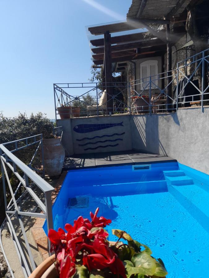 Villa Oliver - Breathtaking Small Pool 14 Sqm Hydromassage On The Rock - Coast
