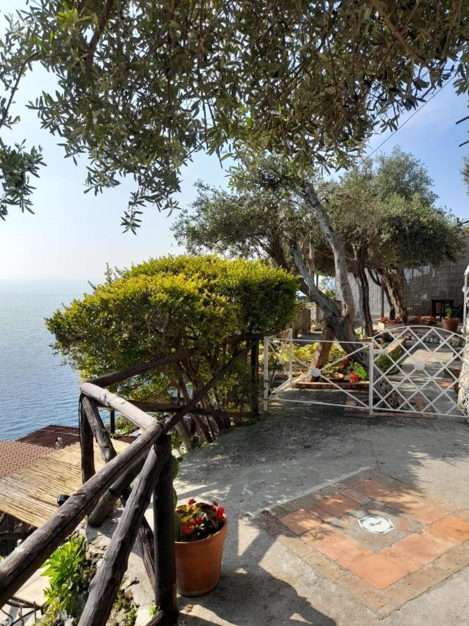 Villa Oliver - Breathtaking Small Pool 14 Sqm Hydromassage On The Rock - Coast *